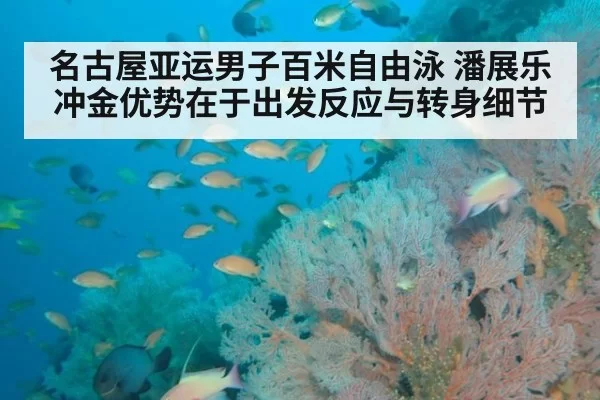 名古屋亚运男子百米自由泳 潘展乐冲金优势在于出发反应与转身细节